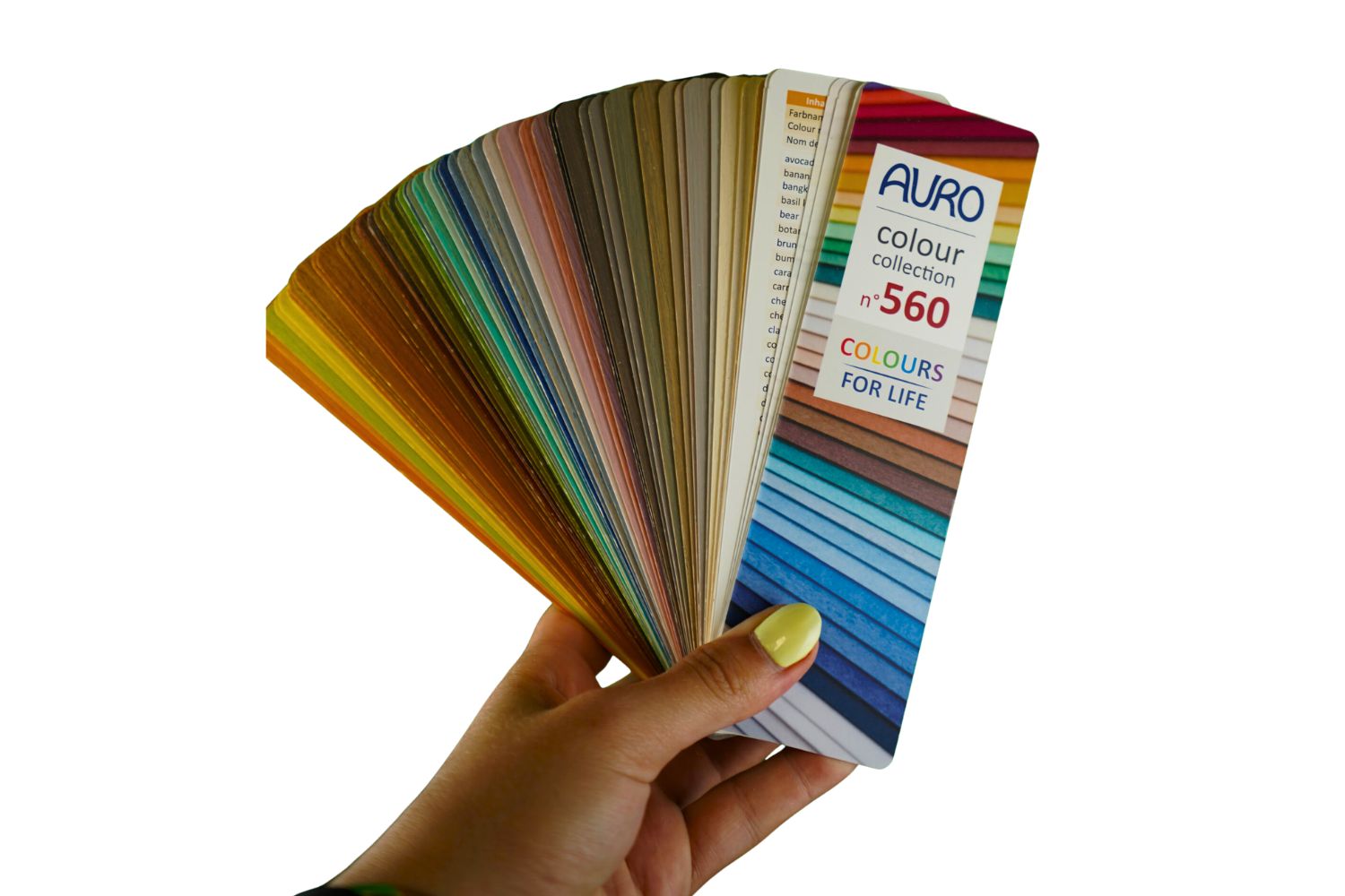 Auro Holzlasur Nr. 560 Colours for Life Farbtonfächer